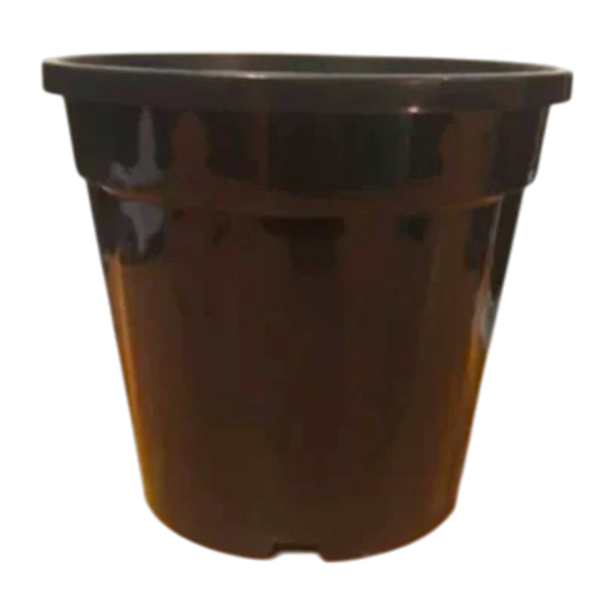 5.5 Inch Pune Nursery Pot